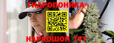 дурь Будённовск